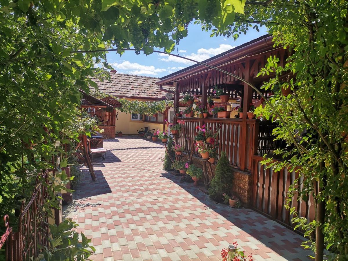 Casa Dana Hotel Hateg Exterior photo