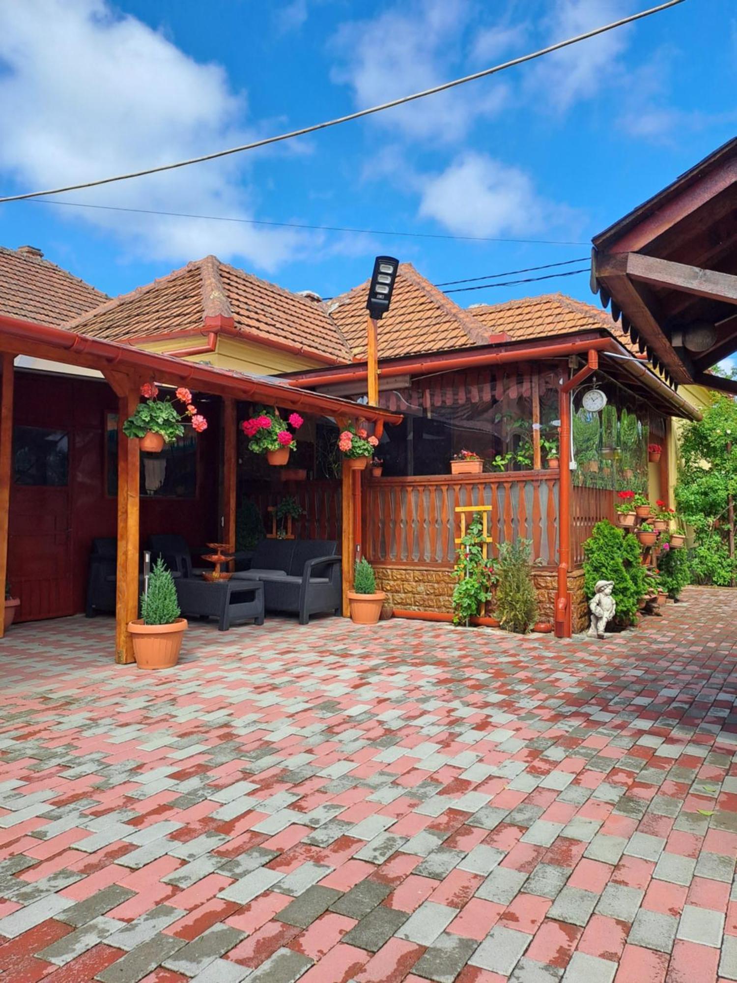 Casa Dana Hotel Hateg Exterior photo