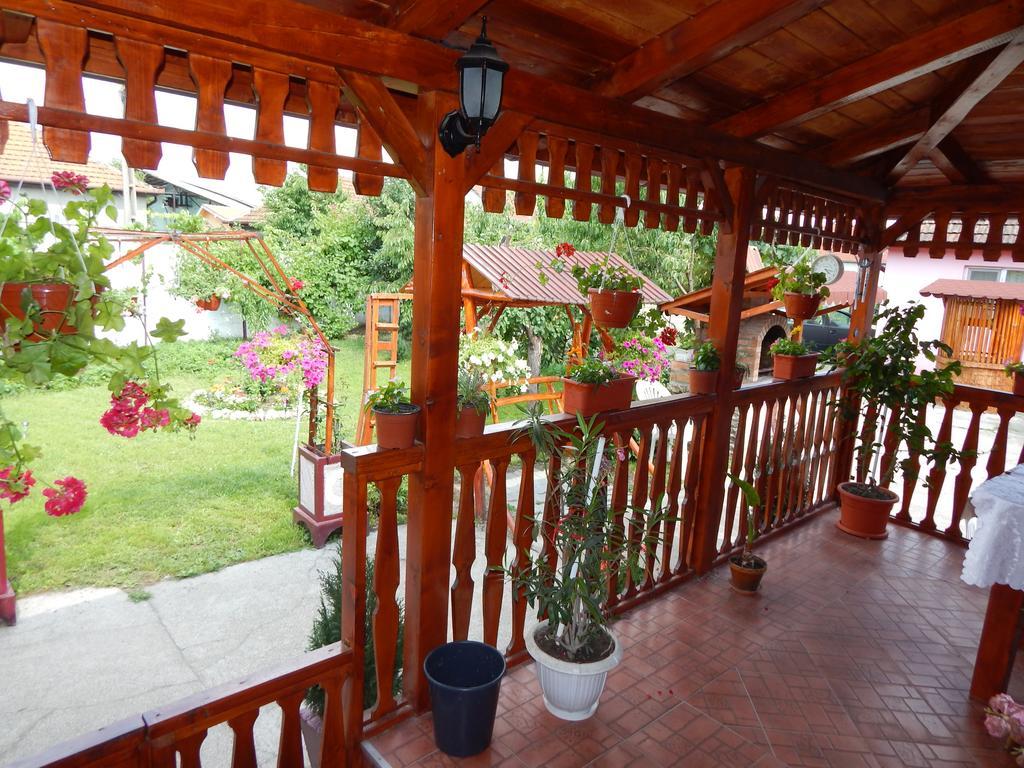 Casa Dana Hotel Hateg Exterior photo